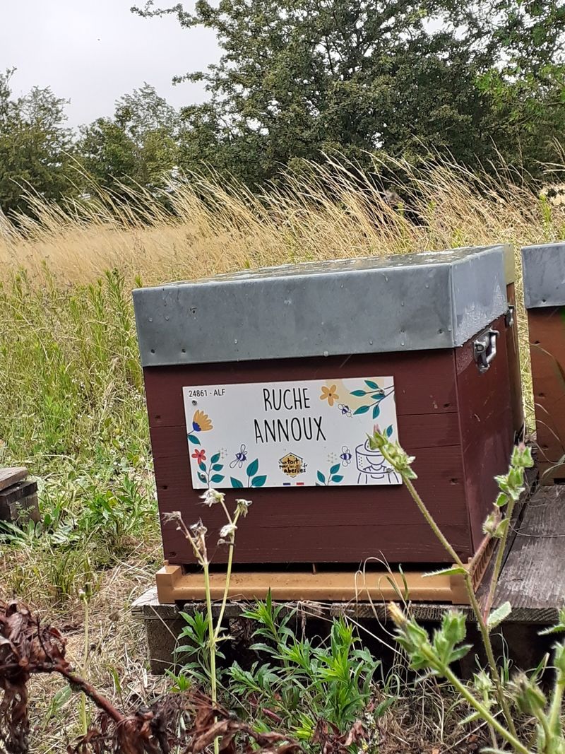 La ruche Annoux