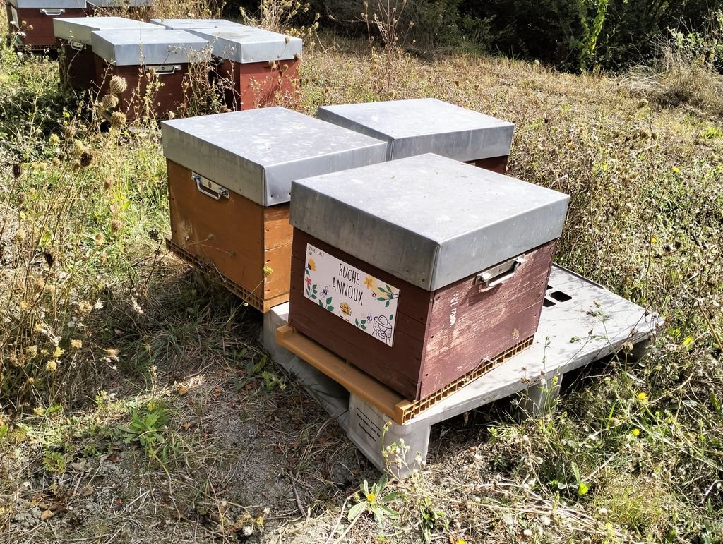 La ruche Annoux
