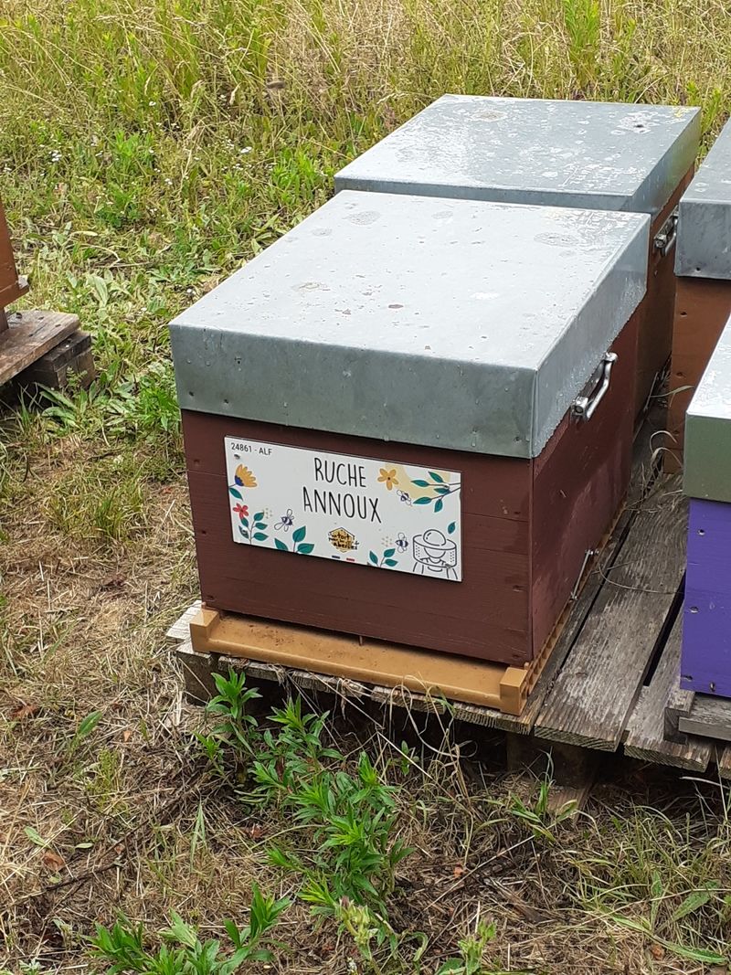 La ruche Annoux
