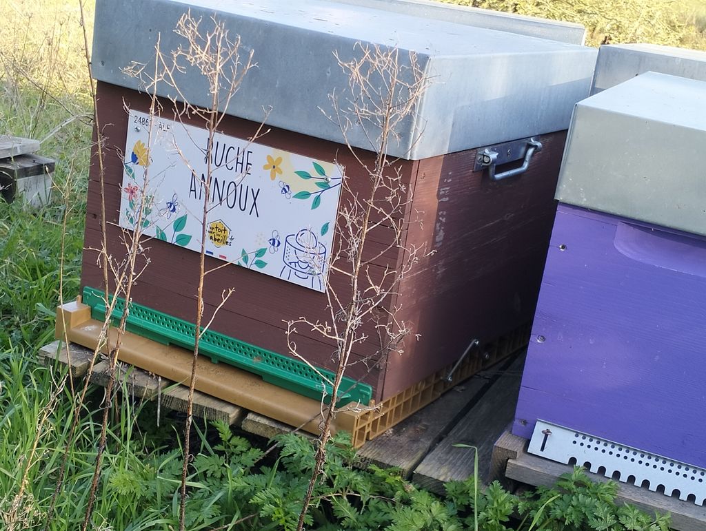 La ruche Annoux