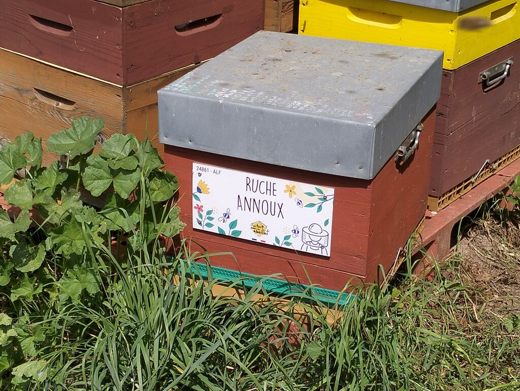 La ruche Annoux