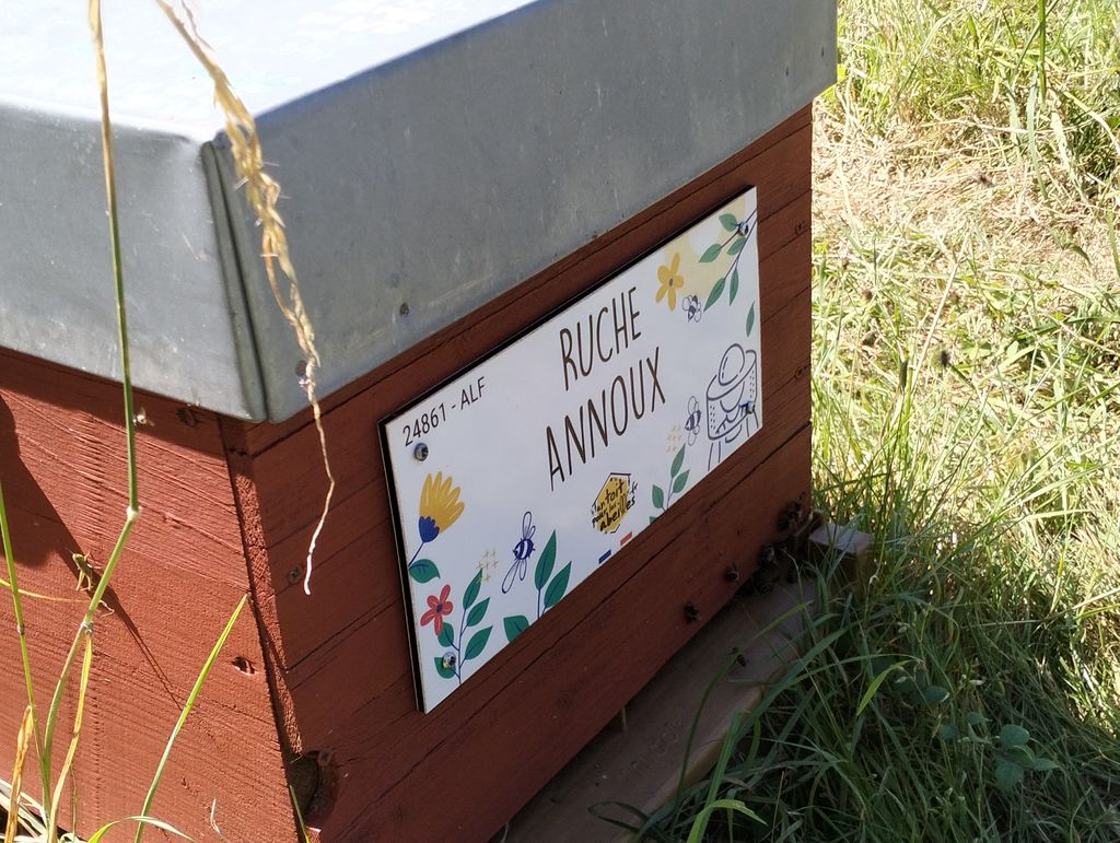 La ruche Annoux