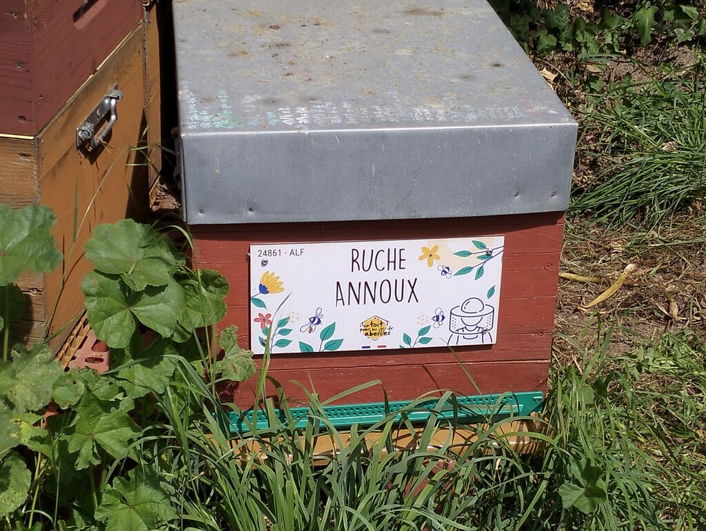 La ruche Annoux