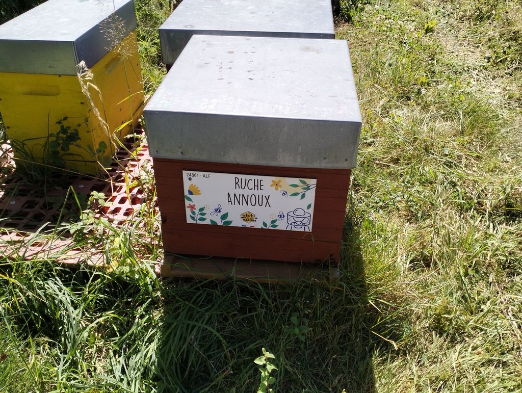 La ruche Annoux