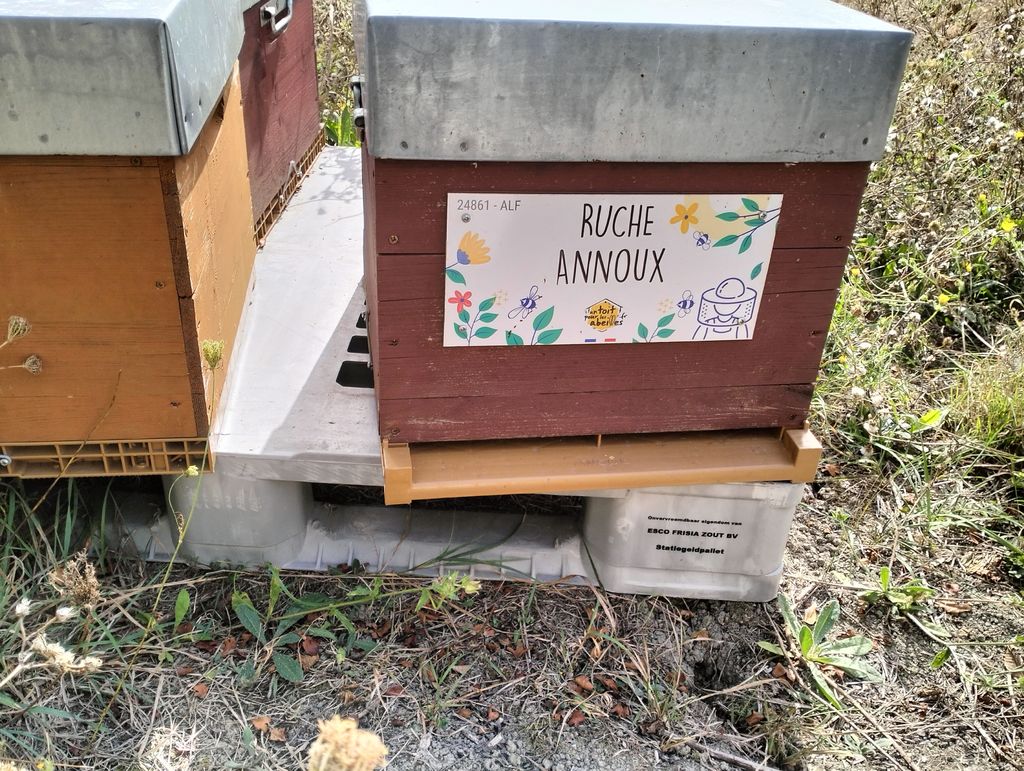 La ruche Annoux