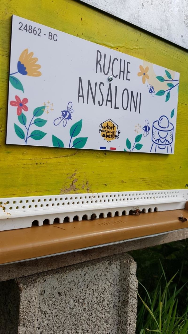 La ruche Ansaloni