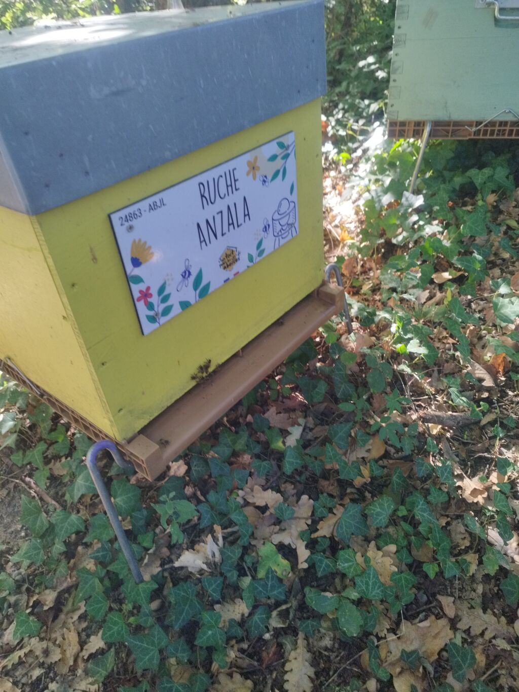 La ruche Anzala