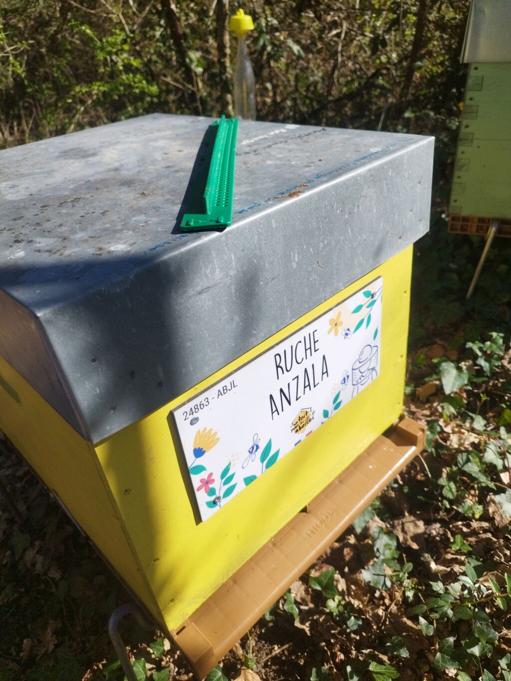 La ruche Anzala