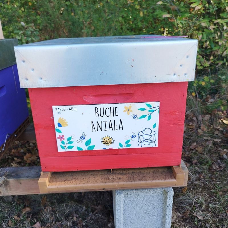 La ruche Anzala