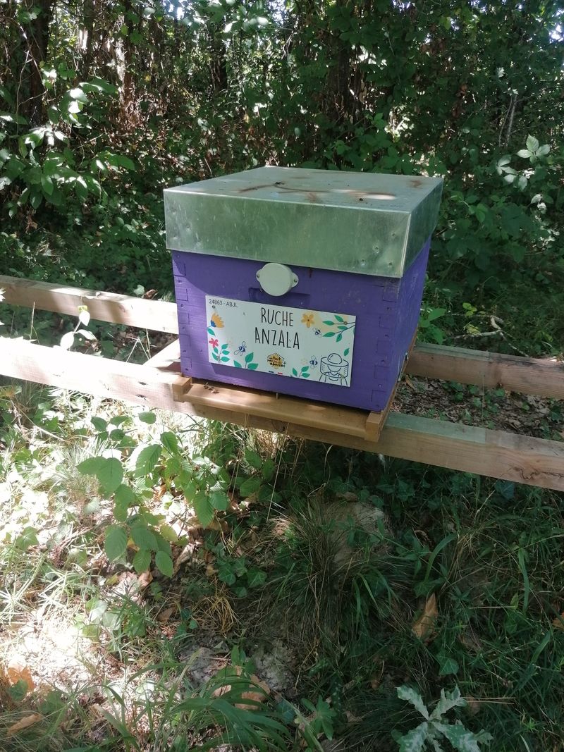La ruche Anzala