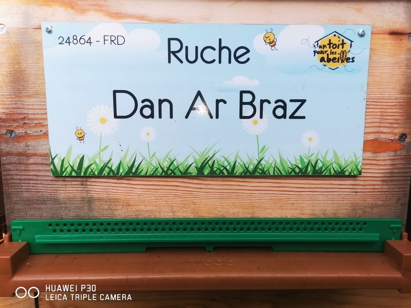 La ruche Dan Ar Braz