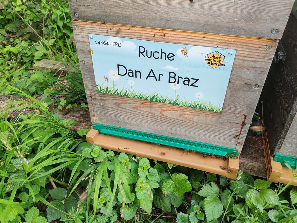 La ruche Dan Ar Braz