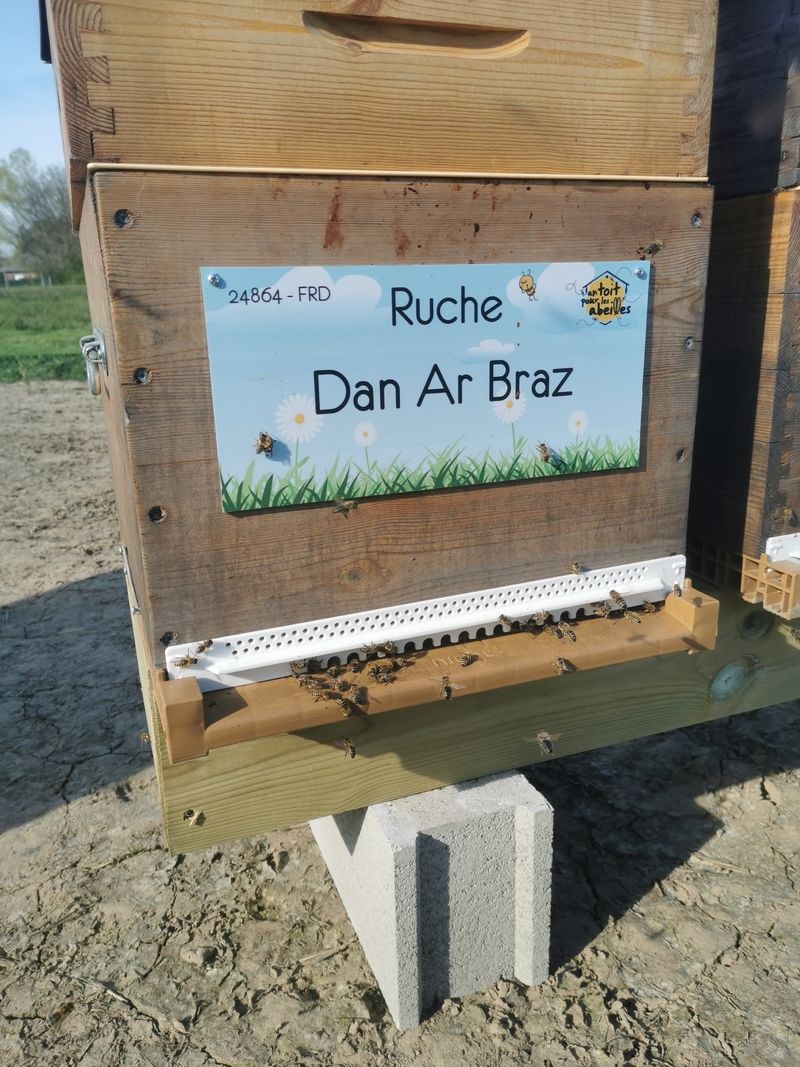 La ruche Dan Ar Braz