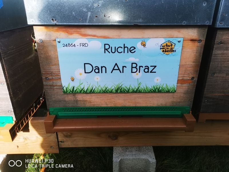 La ruche Dan Ar Braz