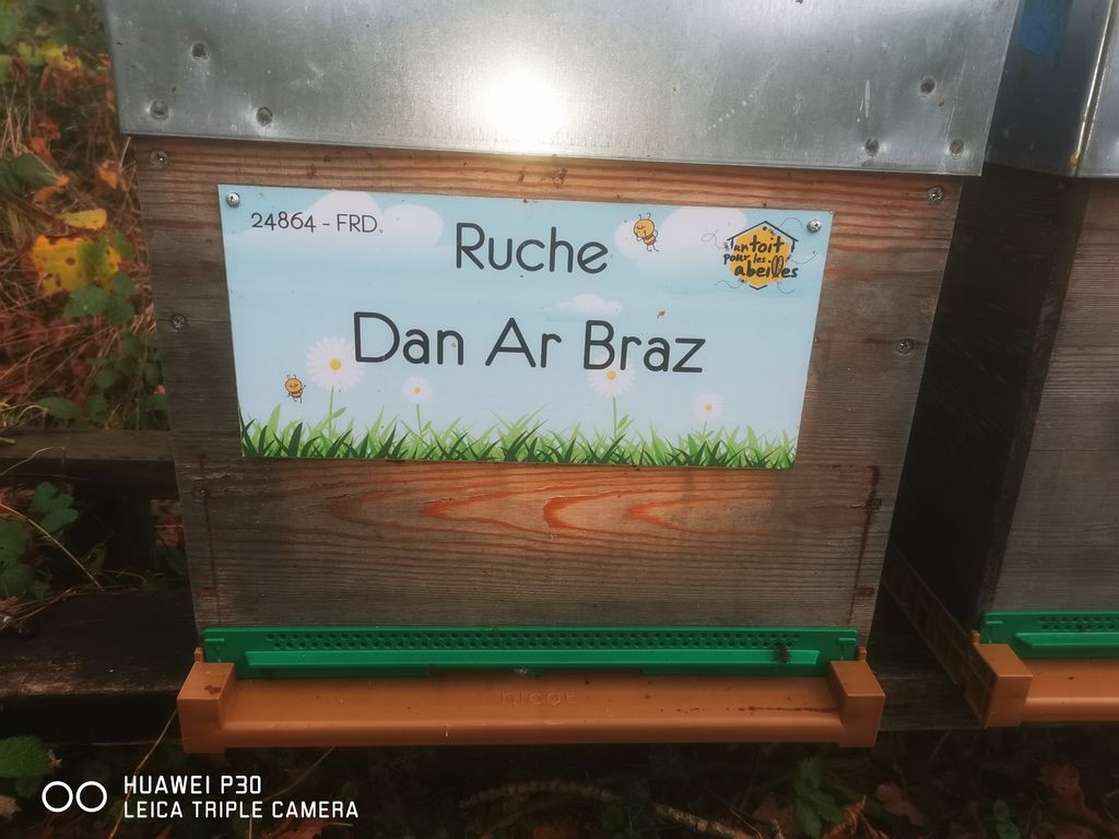 La ruche Dan Ar Braz