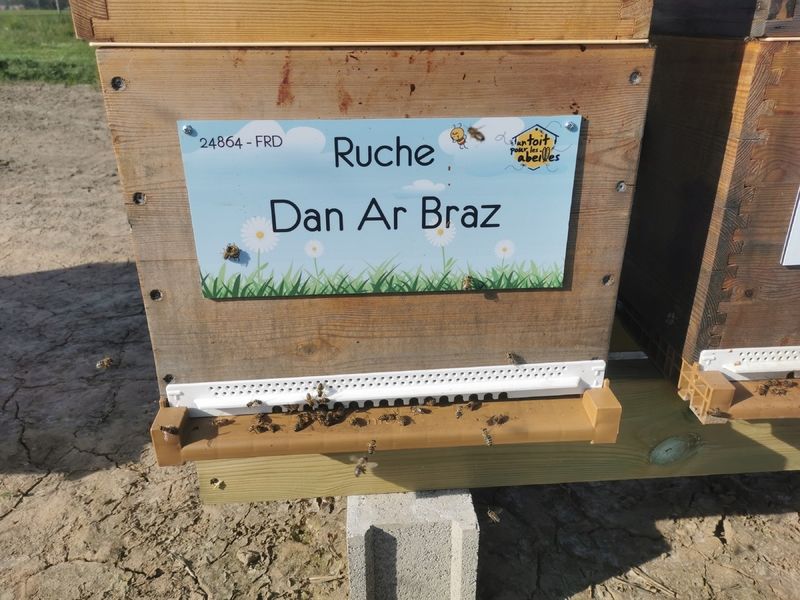 La ruche Dan Ar Braz