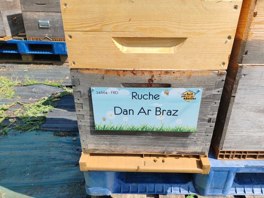 La ruche Dan Ar Braz