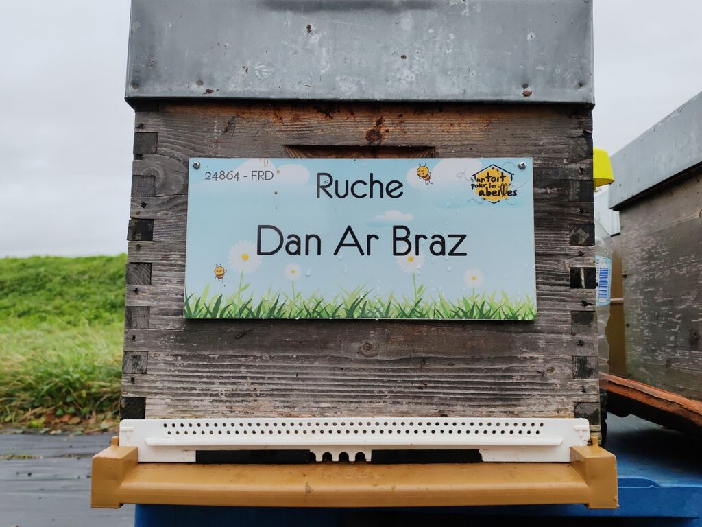 La ruche Dan Ar Braz