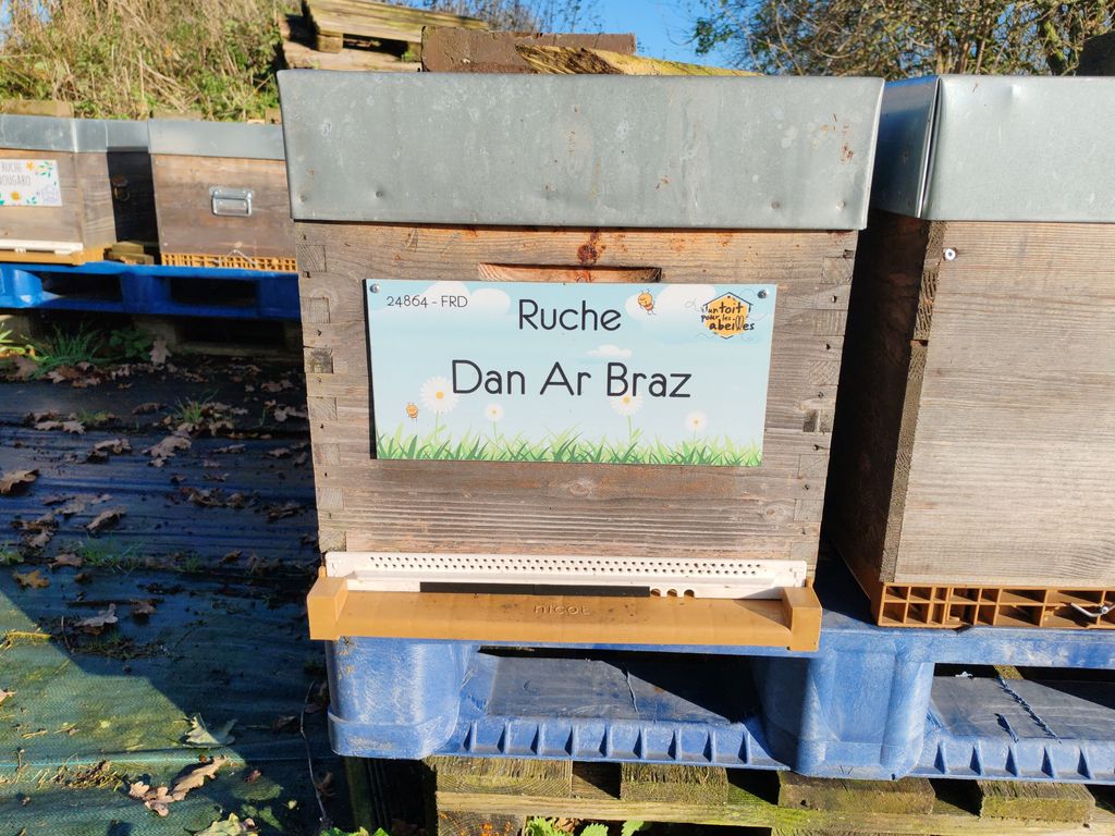 La ruche Dan Ar Braz