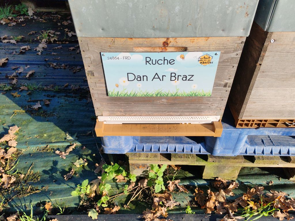 La ruche Dan Ar Braz