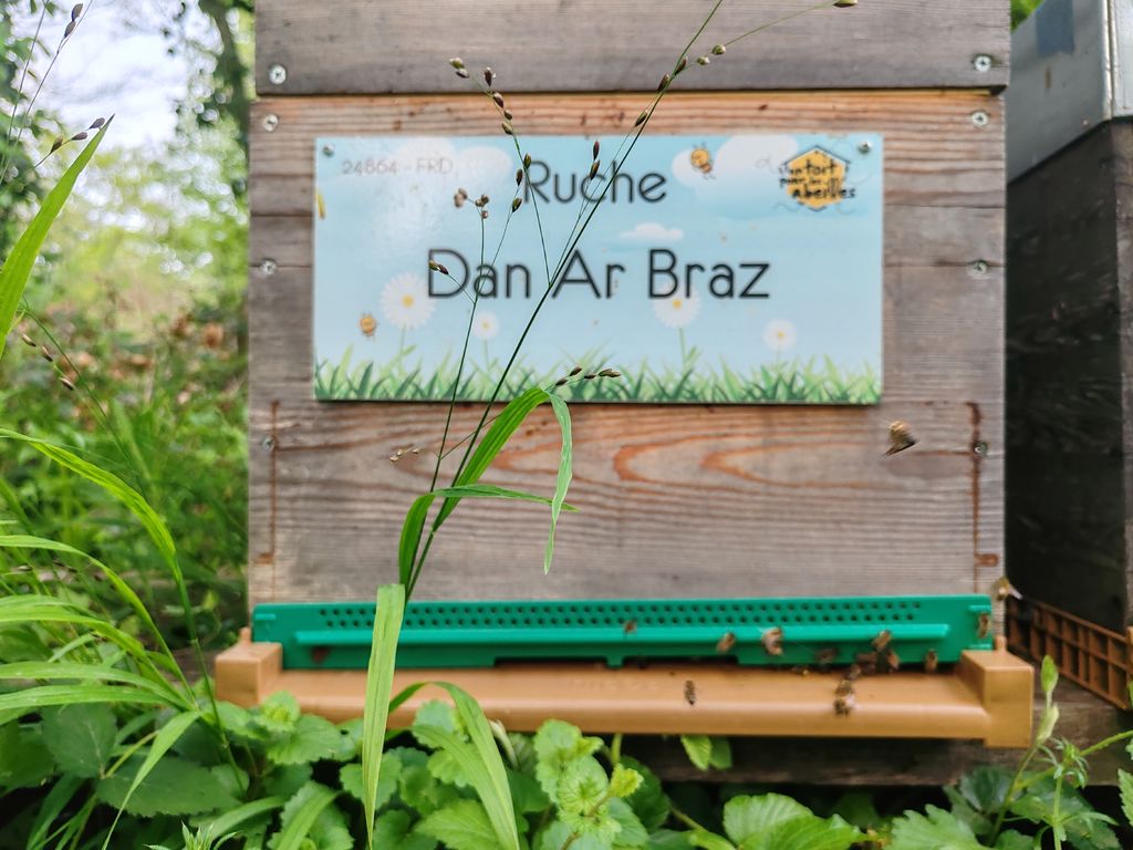 La ruche Dan Ar Braz