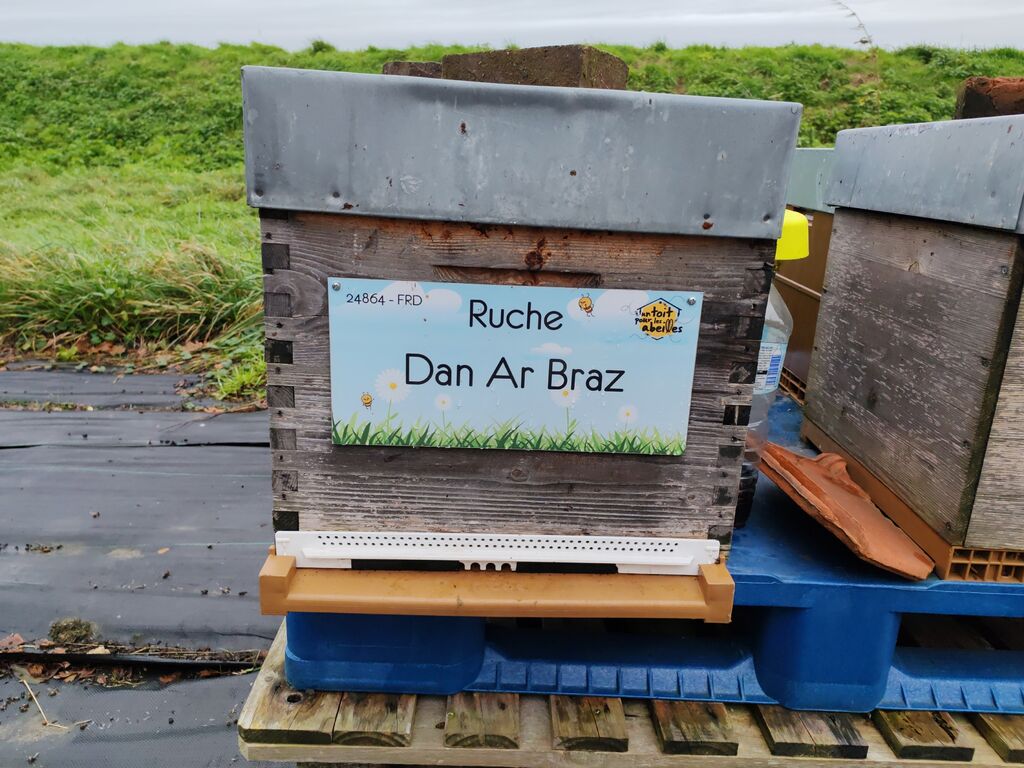La ruche Dan Ar Braz
