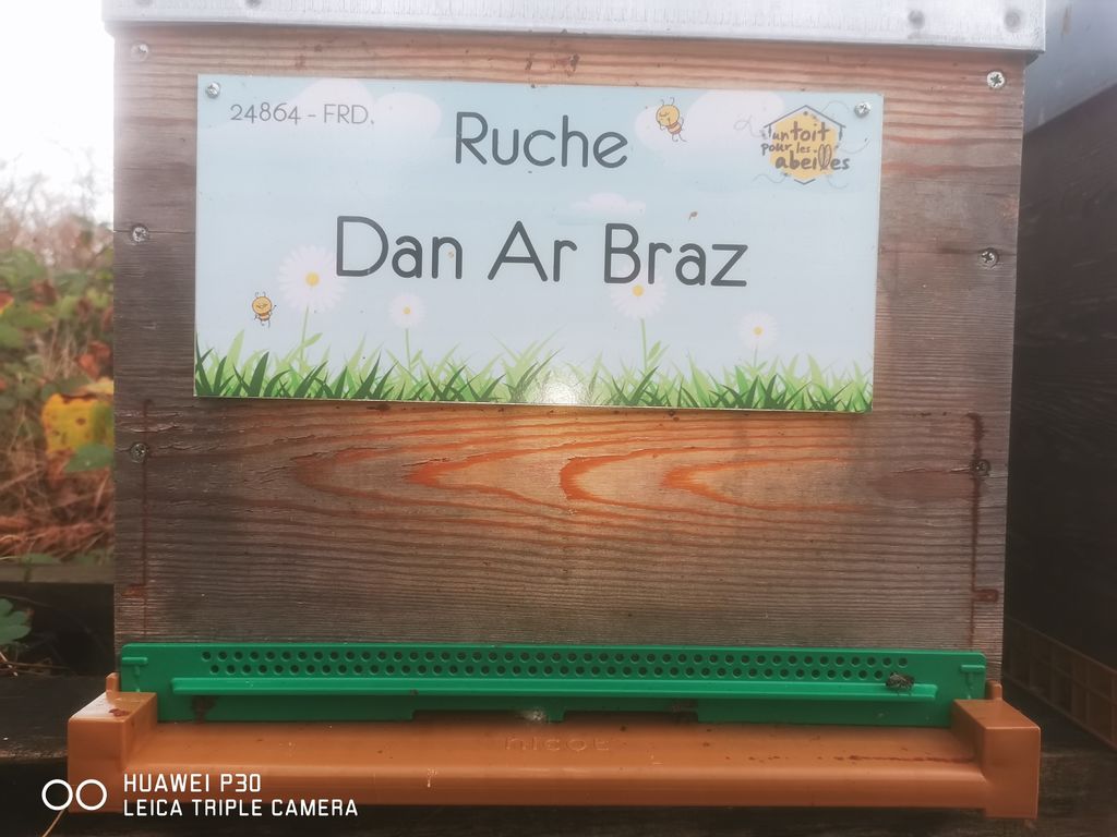 La ruche Dan Ar Braz
