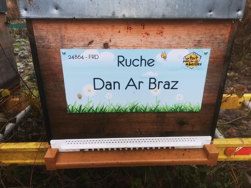 La ruche Dan Ar Braz