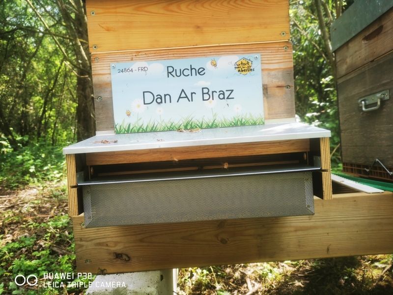 La ruche Dan Ar Braz