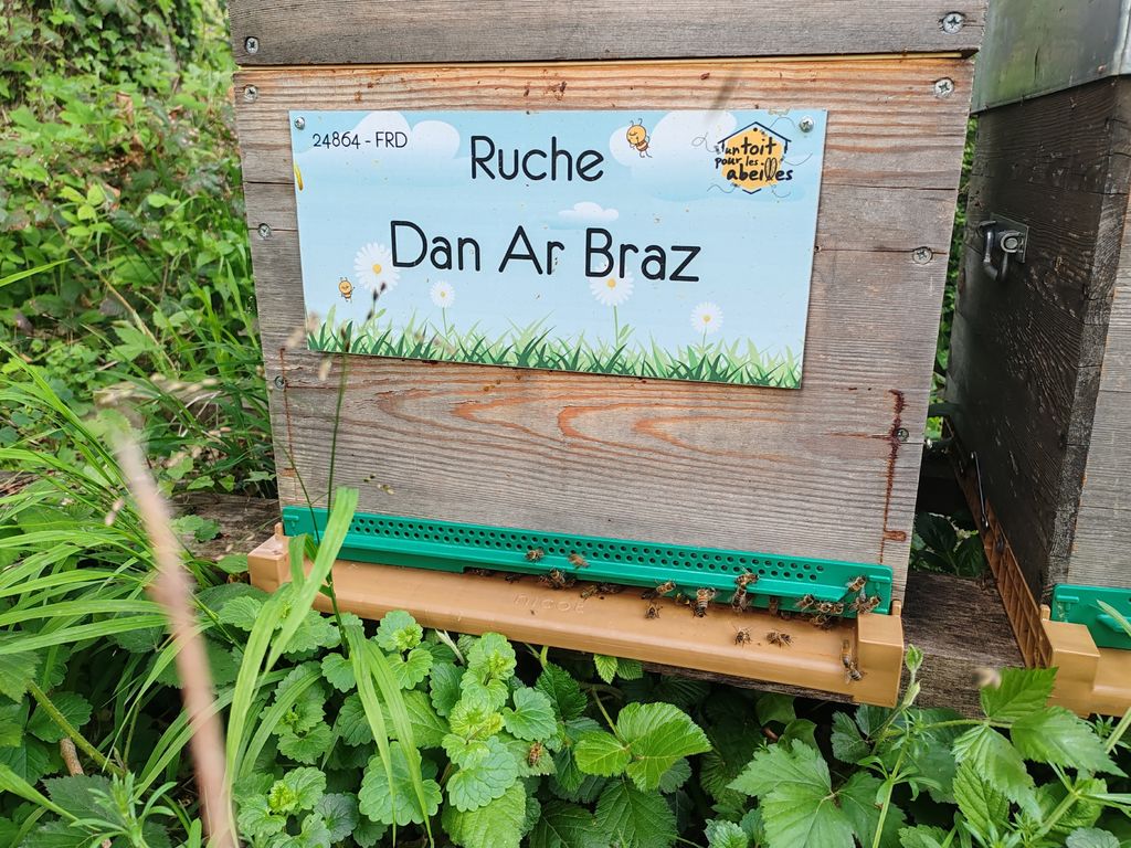 La ruche Dan Ar Braz