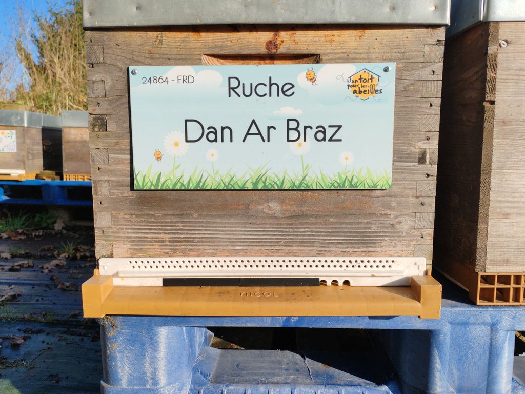 La ruche Dan Ar Braz