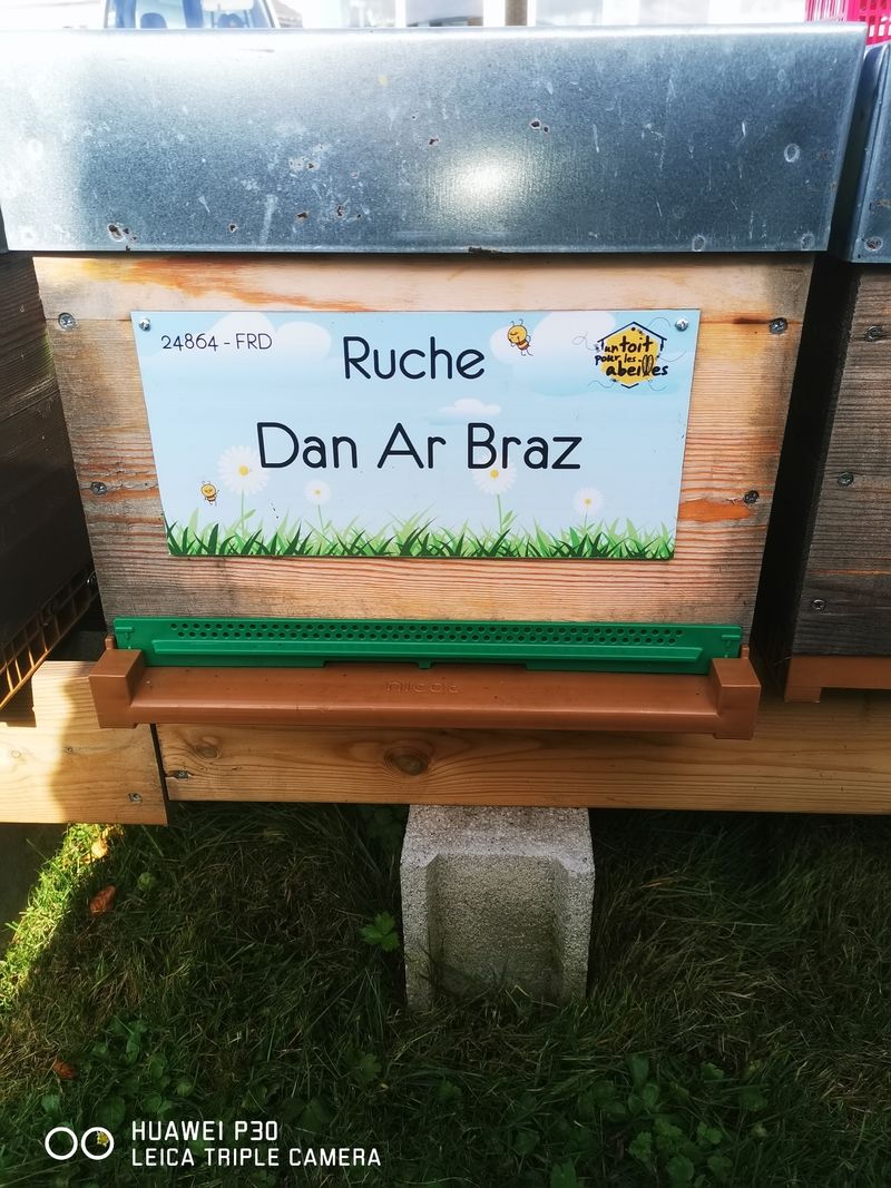 La ruche Dan Ar Braz