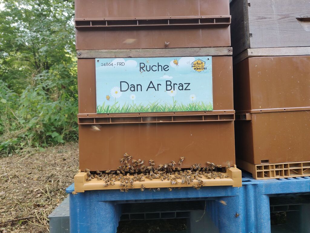 La ruche Dan Ar Braz