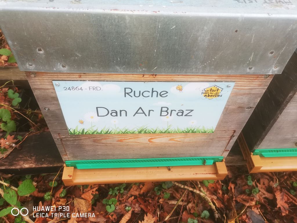 La ruche Dan Ar Braz