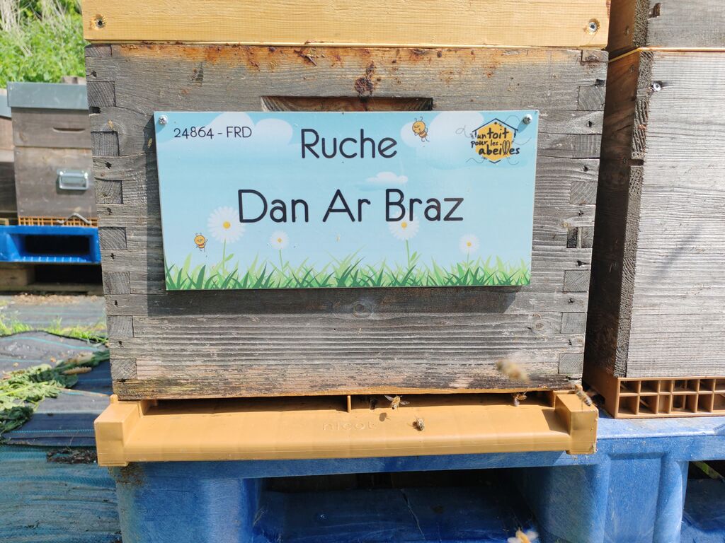 La ruche Dan Ar Braz