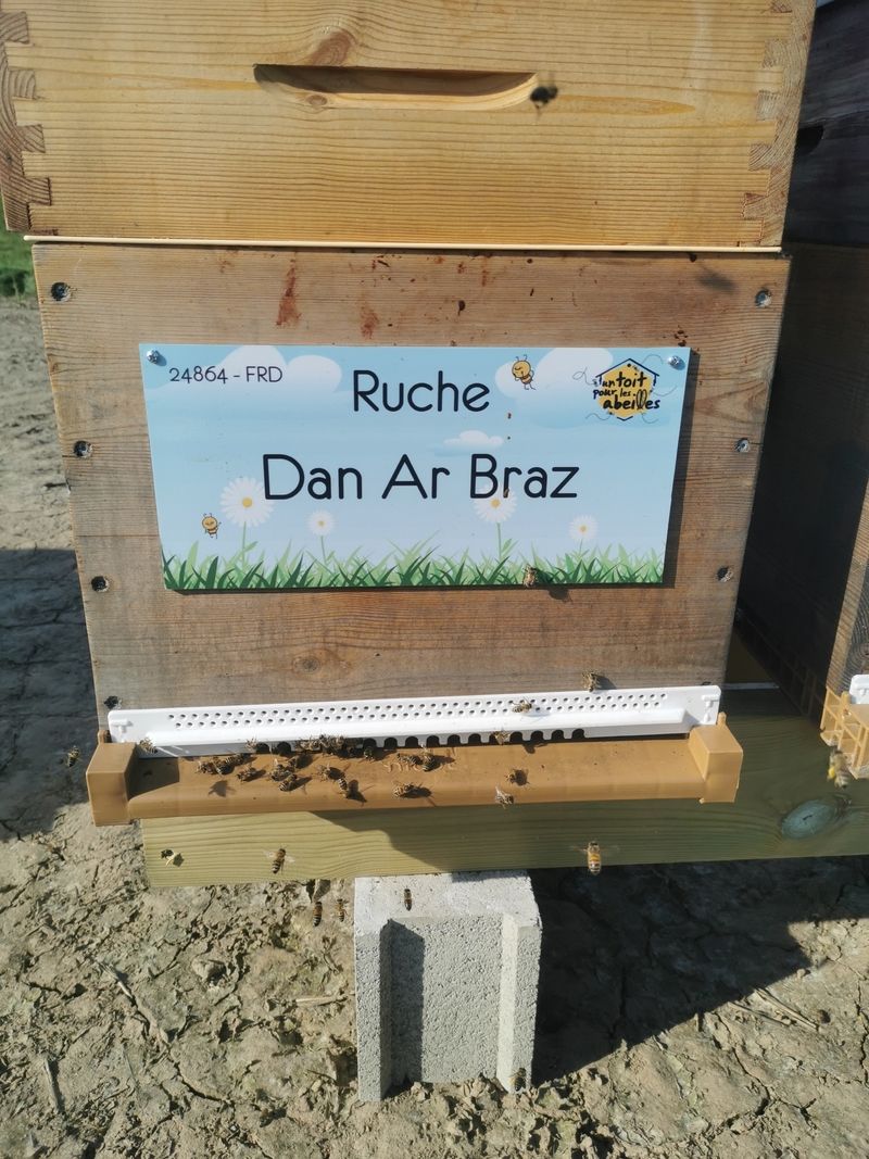 La ruche Dan Ar Braz