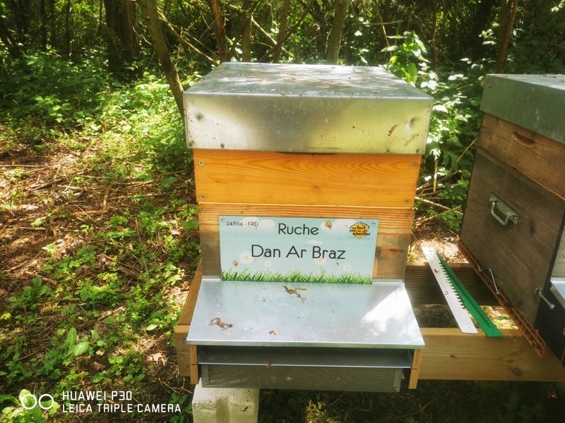 La ruche Dan Ar Braz