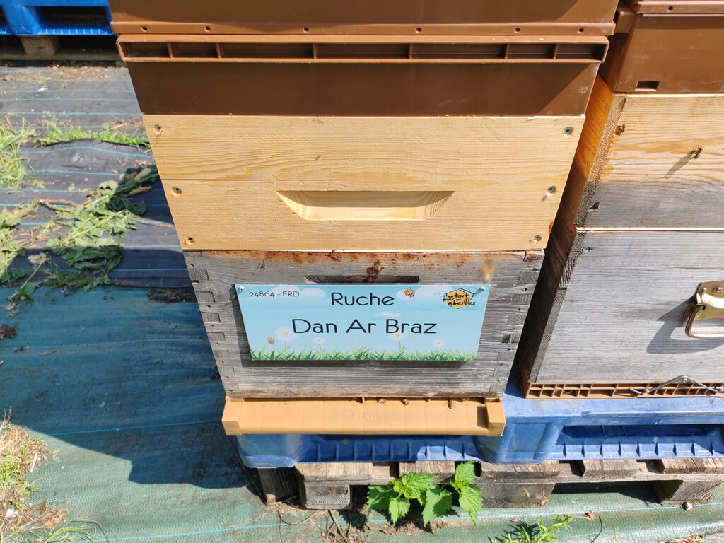La ruche Dan Ar Braz