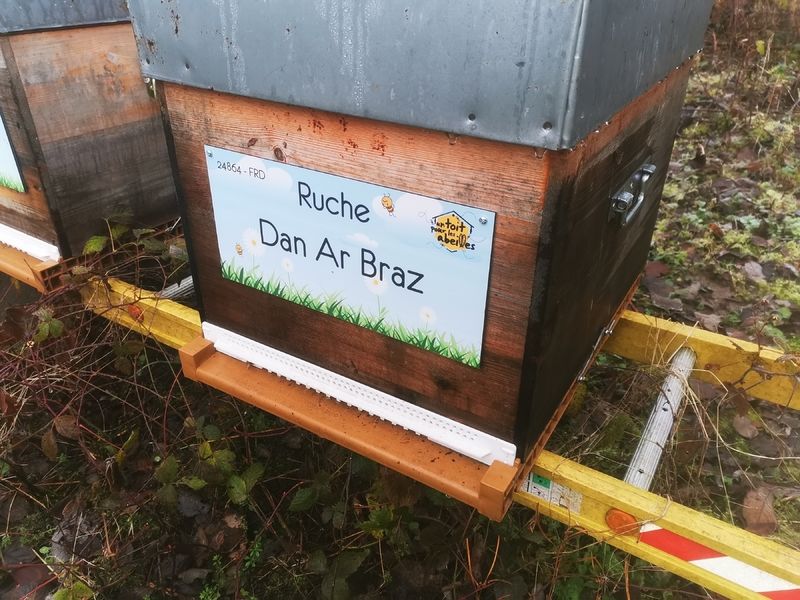 La ruche Dan Ar Braz