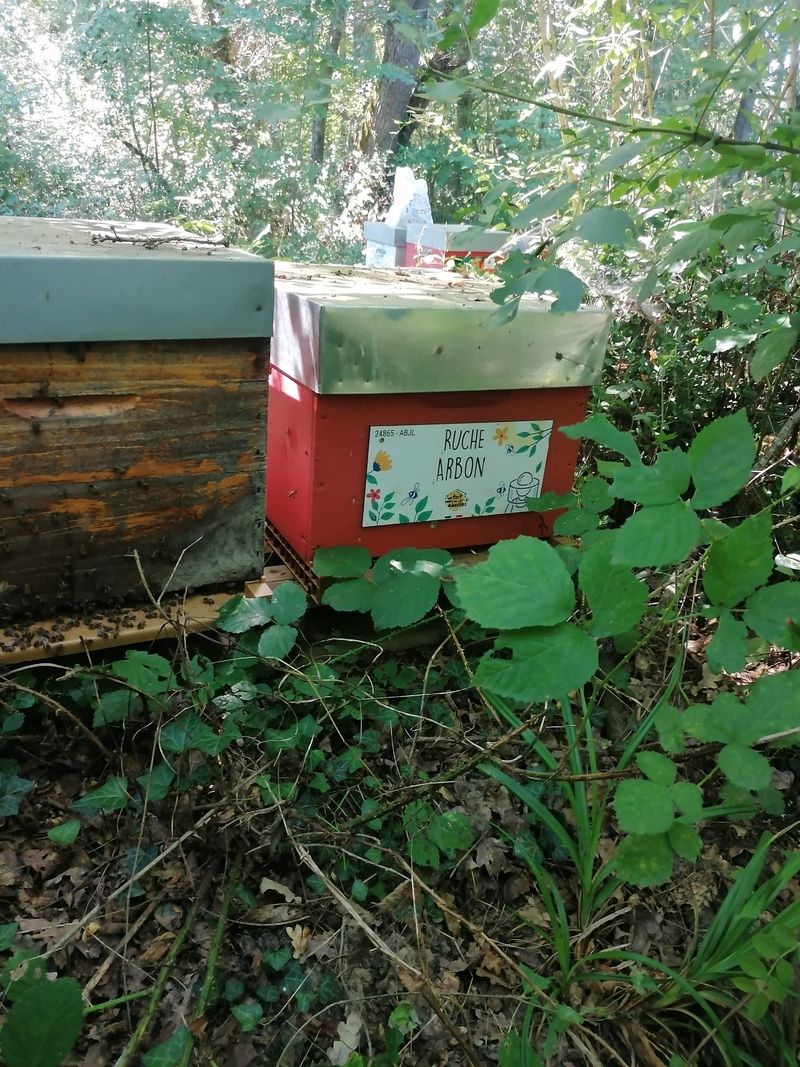 La ruche Arbon