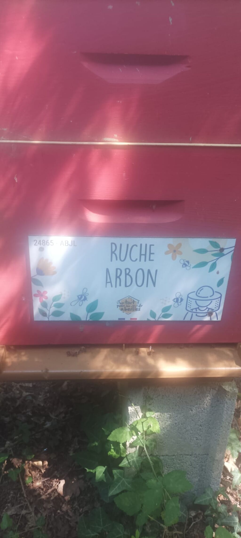 La ruche Arbon