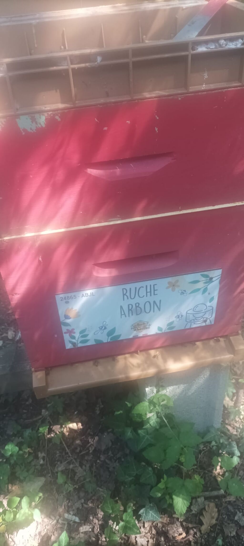 La ruche Arbon