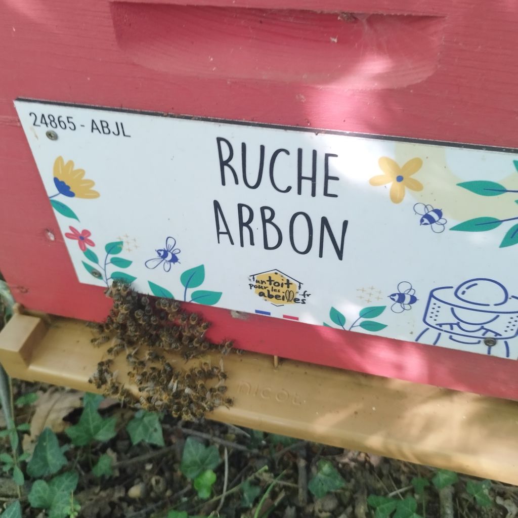 La ruche Arbon