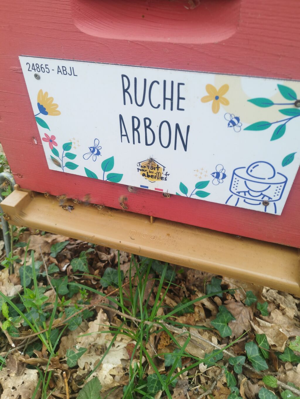La ruche Arbon