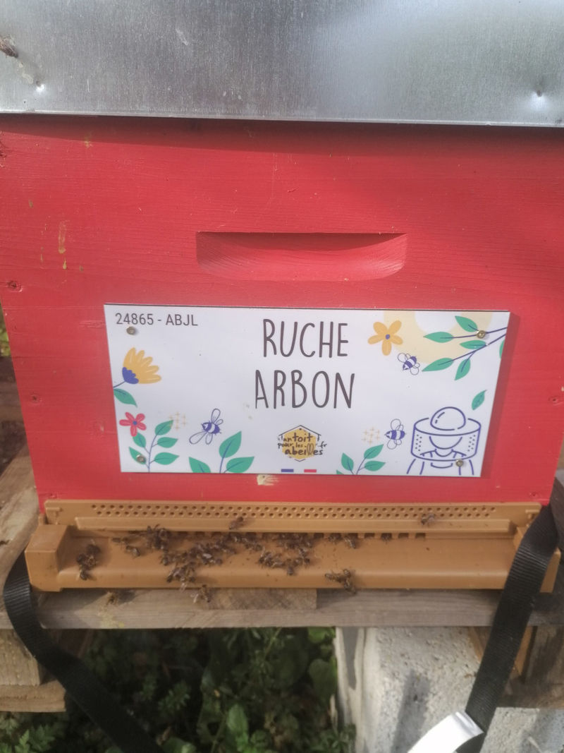 La ruche Arbon