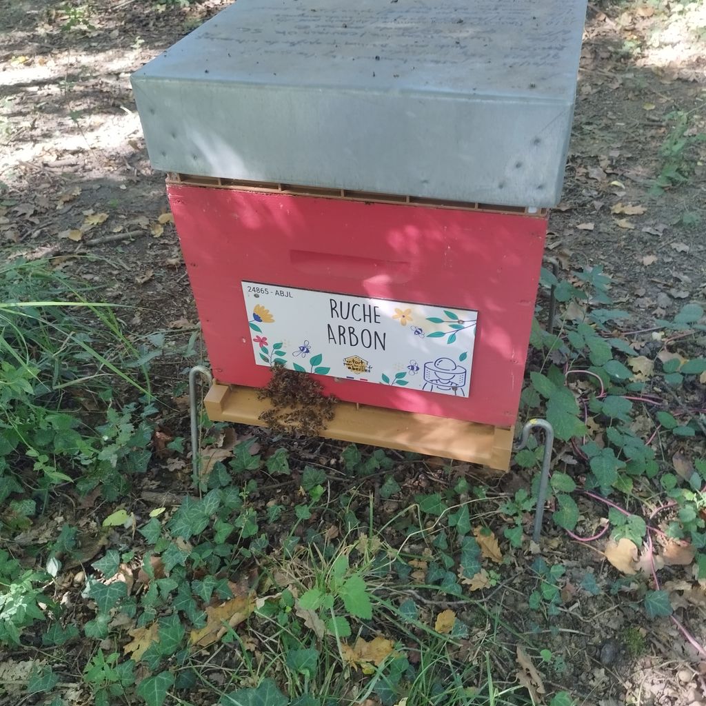 La ruche Arbon