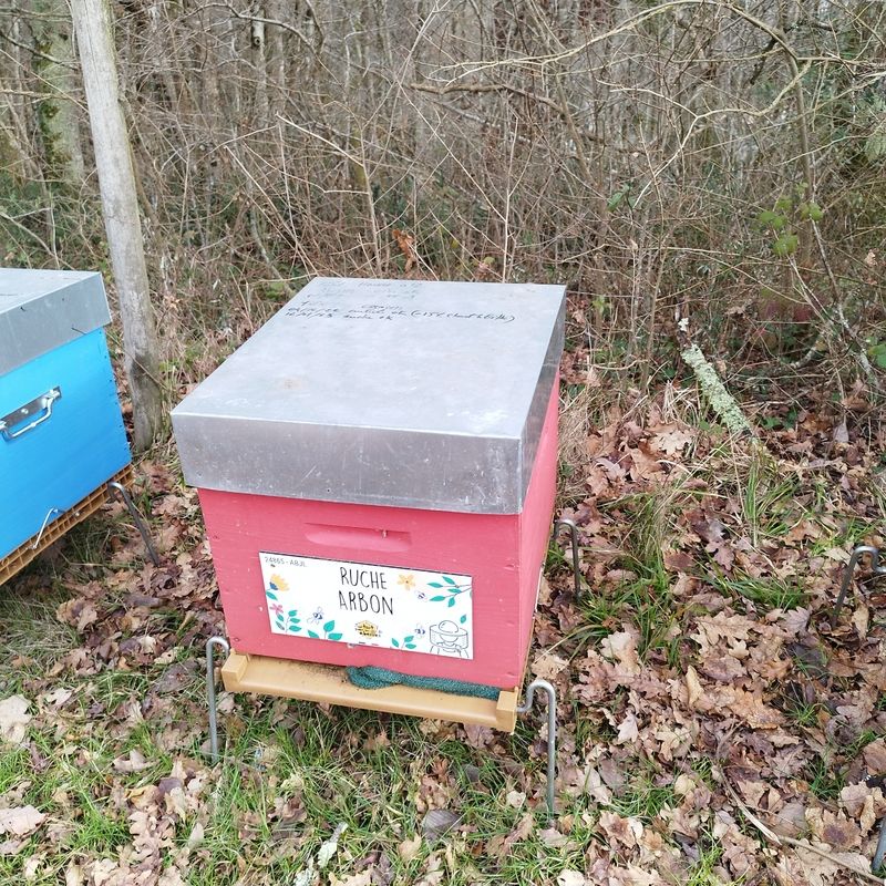 La ruche Arbon