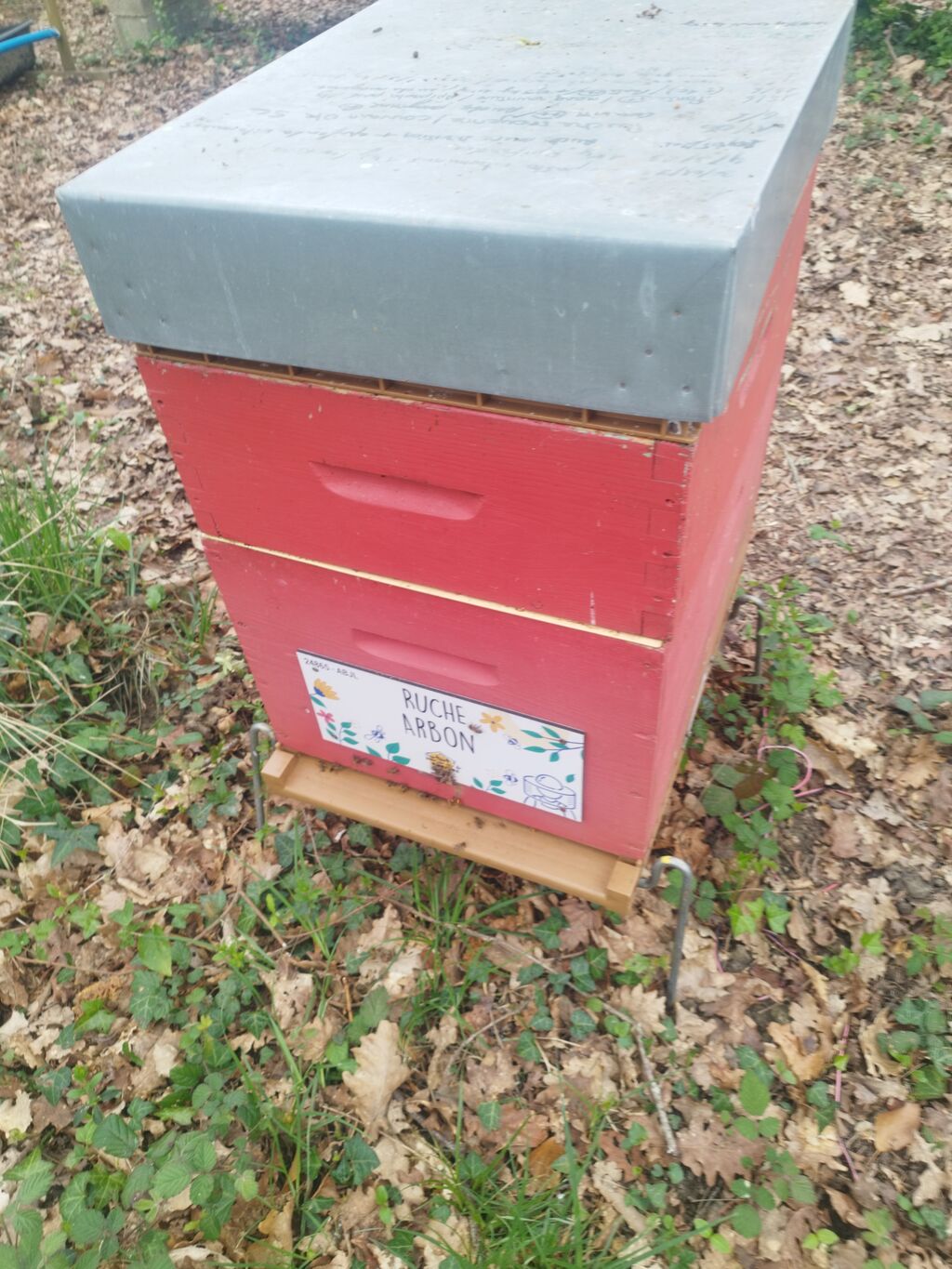 La ruche Arbon