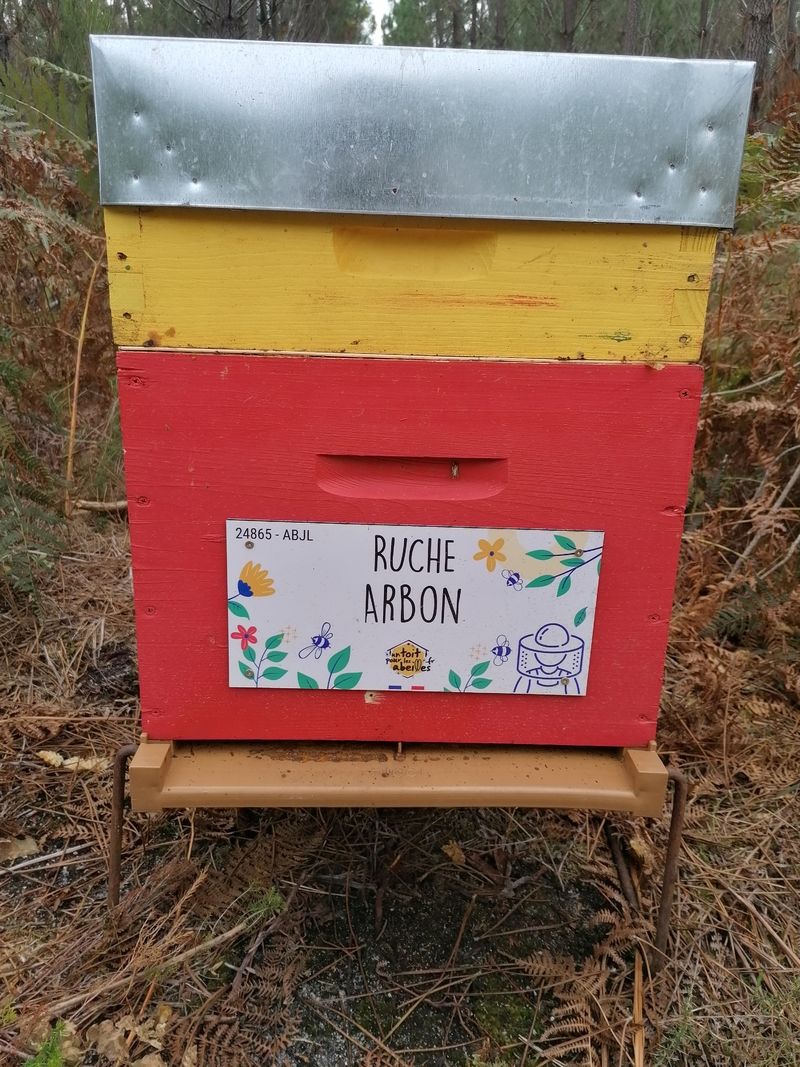 La ruche Arbon
