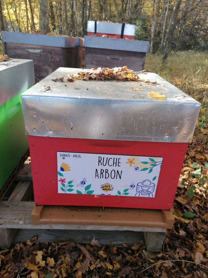 La ruche Arbon